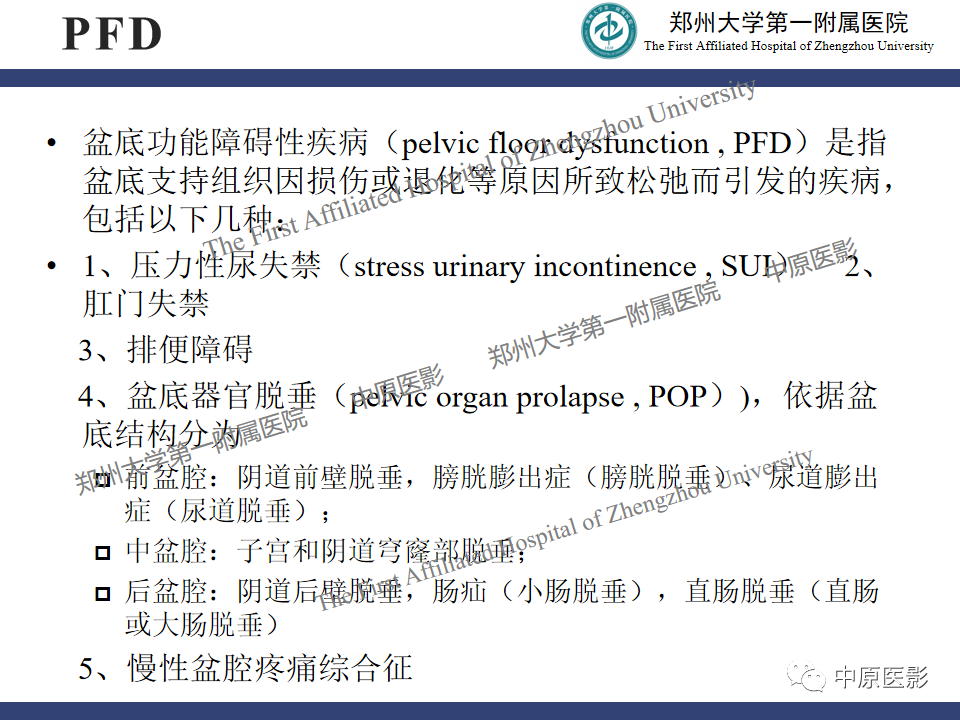 影像PPT - 【病例】盆底功能障碍性疾病2例MR影像-7