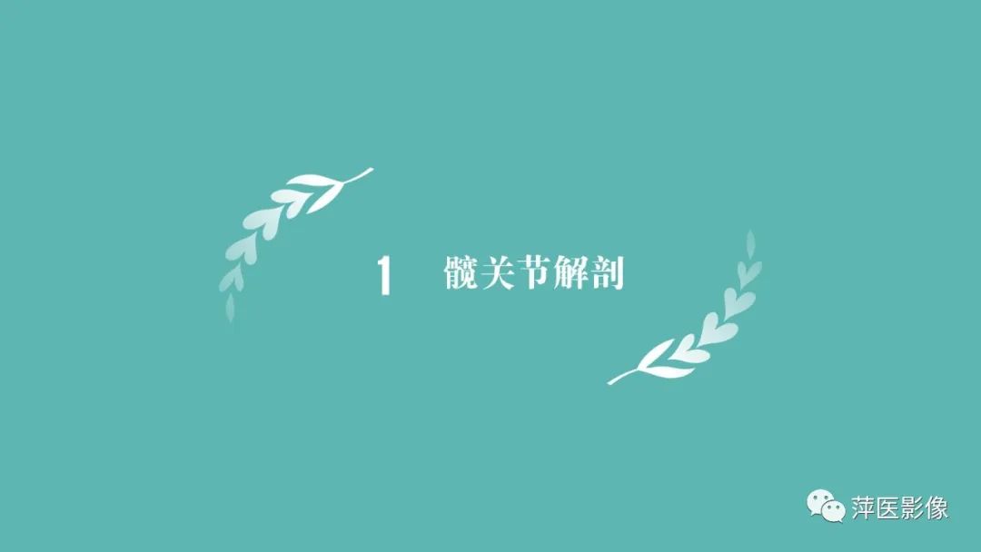 影像PPT - 【PPT】髋关节撞击综合征-3