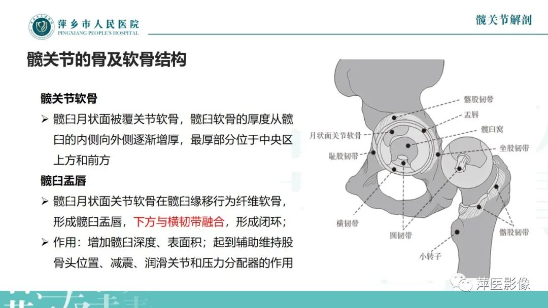影像PPT - 【PPT】髋关节撞击综合征-6