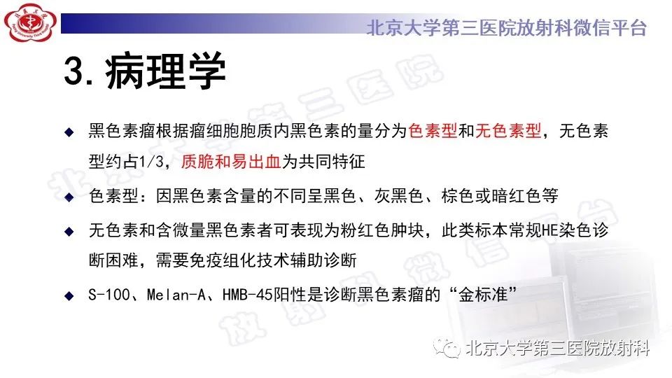 影像PPT - 【PPT】鼻腔鼻窦恶性黑色素瘤-14