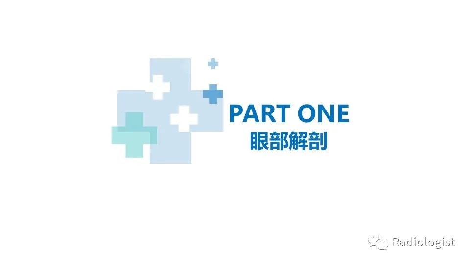 影像PPT - 【PPT】眼部疾病CT、MRI影像表现-3