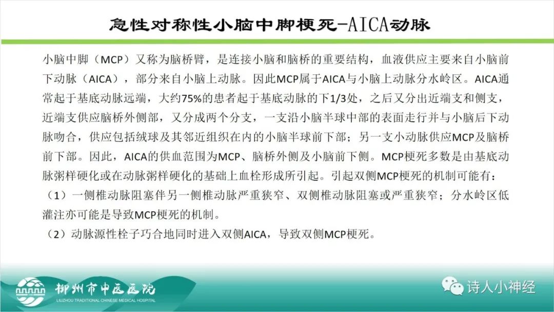 影像PPT - 【PPT】各种脑干梗死综合征临床解剖及影像-70