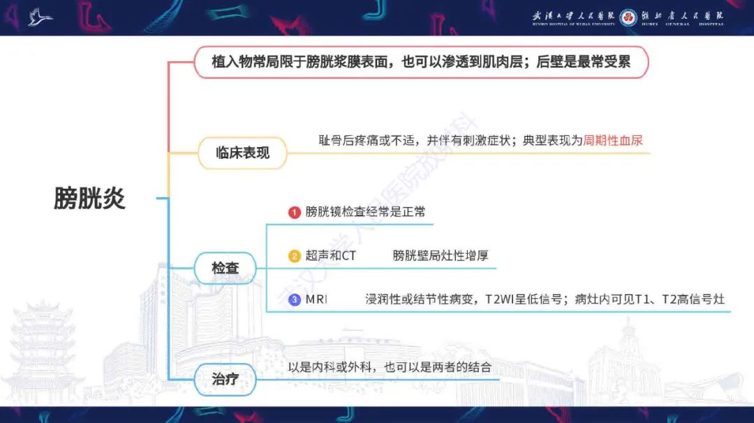 影像PPT - 【PPT】子宫内膜异位症并发症影像诊断-16