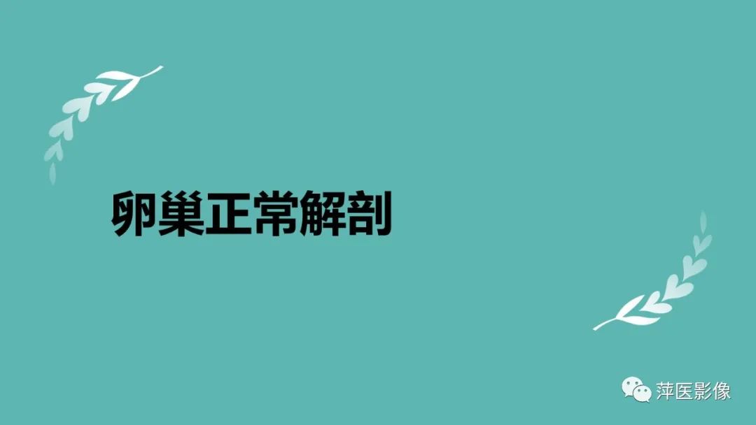 影像PPT - 【PPT】卵巢囊腺瘤诊断与鉴别诊断-3