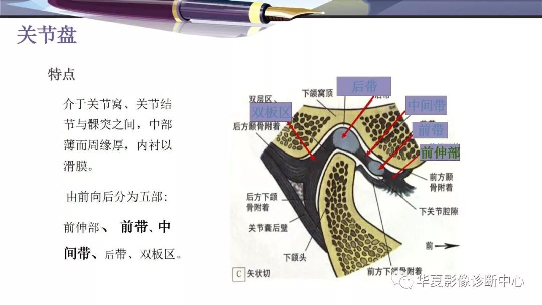 影像PPT - 颞下颌关节紊乱病的磁共振表现-2