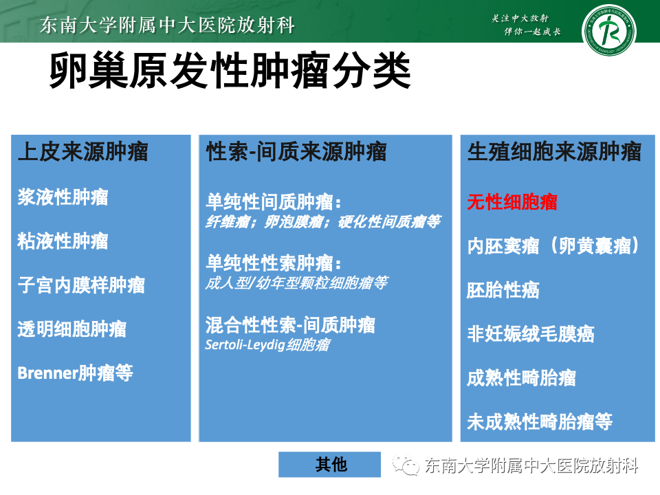 影像PPT - 【PPT】卵巢无性细胞瘤-13