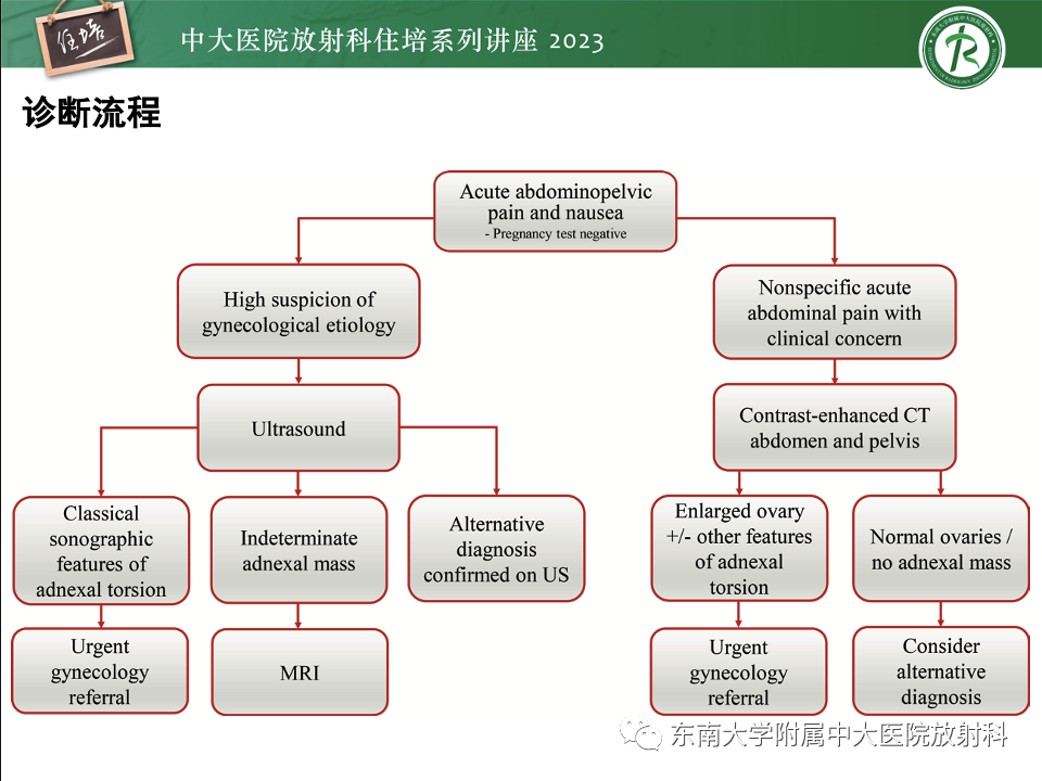 影像PPT - 【PPT】卵巢扭转诊断与鉴别诊断-42
