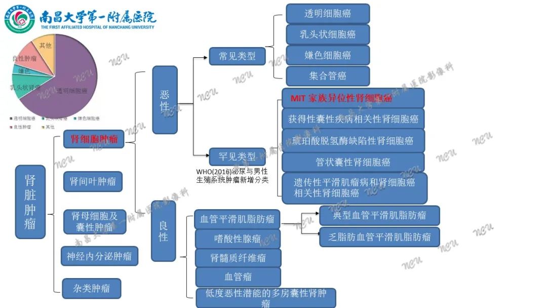 影像PPT - 【病例】MiT家族易位性肾细胞癌-48