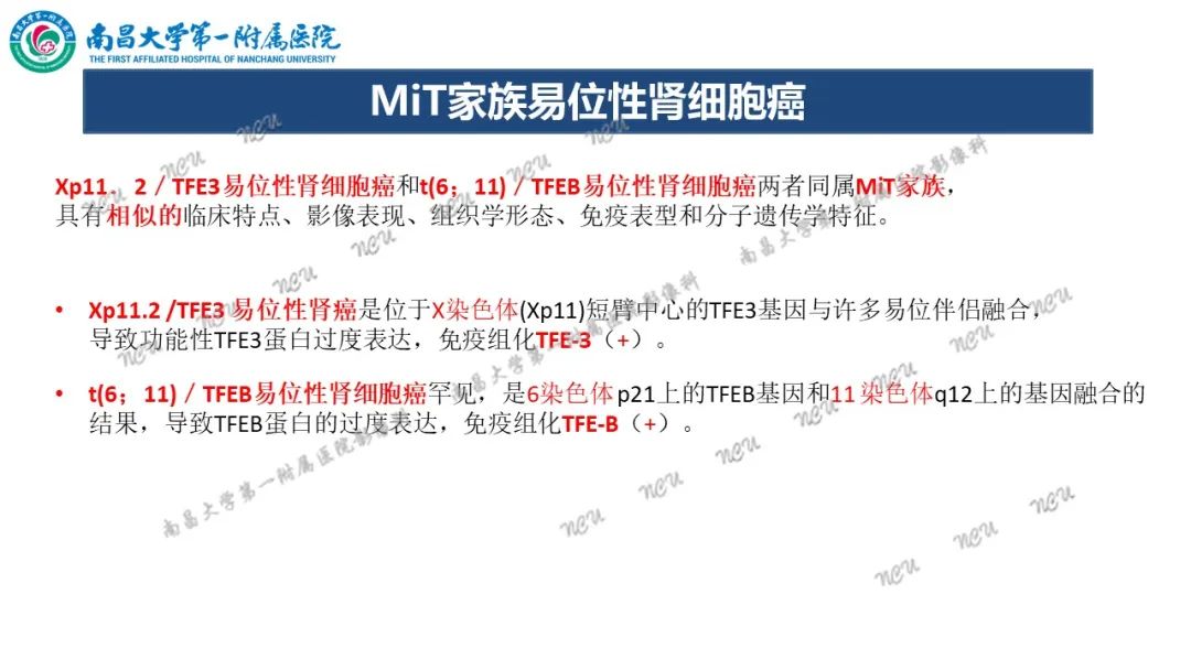 影像PPT - 【病例】MiT家族易位性肾细胞癌-50