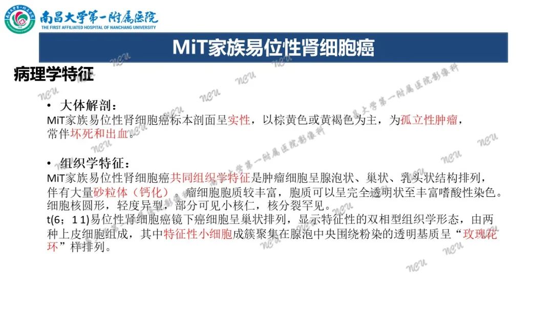 影像PPT - 【病例】MiT家族易位性肾细胞癌-52