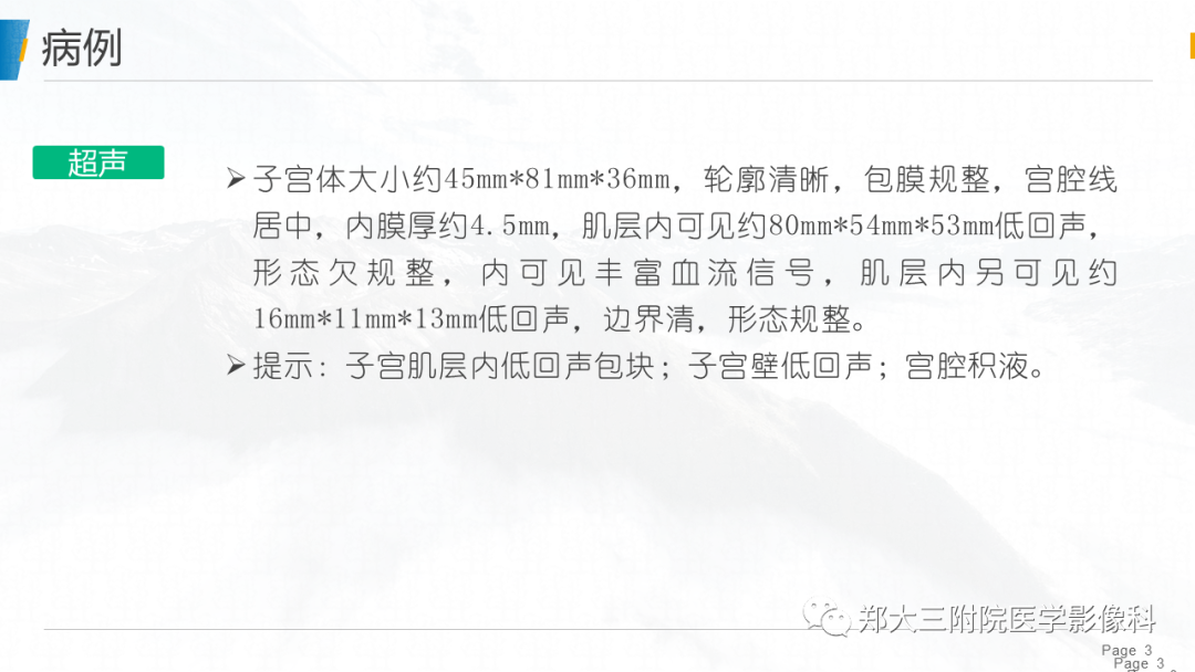 影像PPT - 【PPT】子宫中肾样腺癌-3