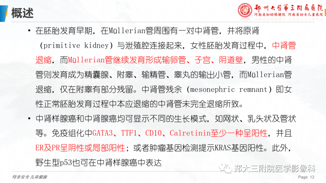 影像PPT - 【PPT】子宫中肾样腺癌-12