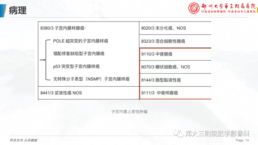 影像PPT - 【PPT】子宫中肾样腺癌-14