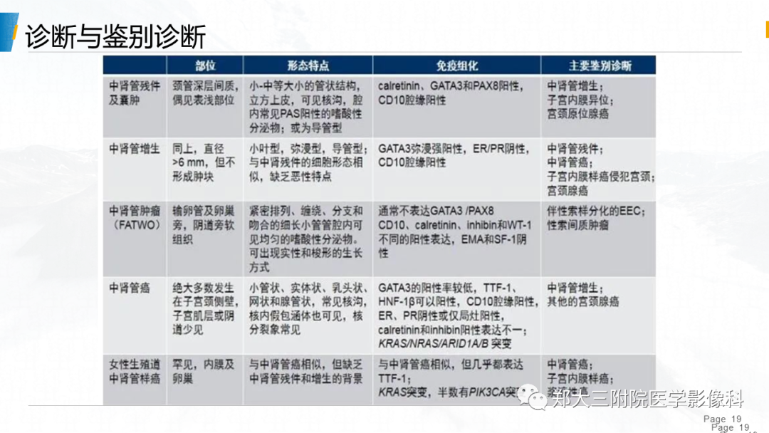 影像PPT - 【PPT】子宫中肾样腺癌-19
