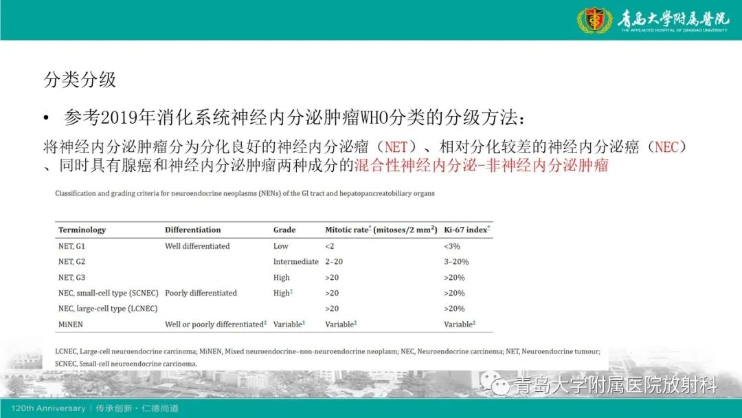 影像PPT - 【PPT】肝脏原发性神经内分泌肿瘤-13