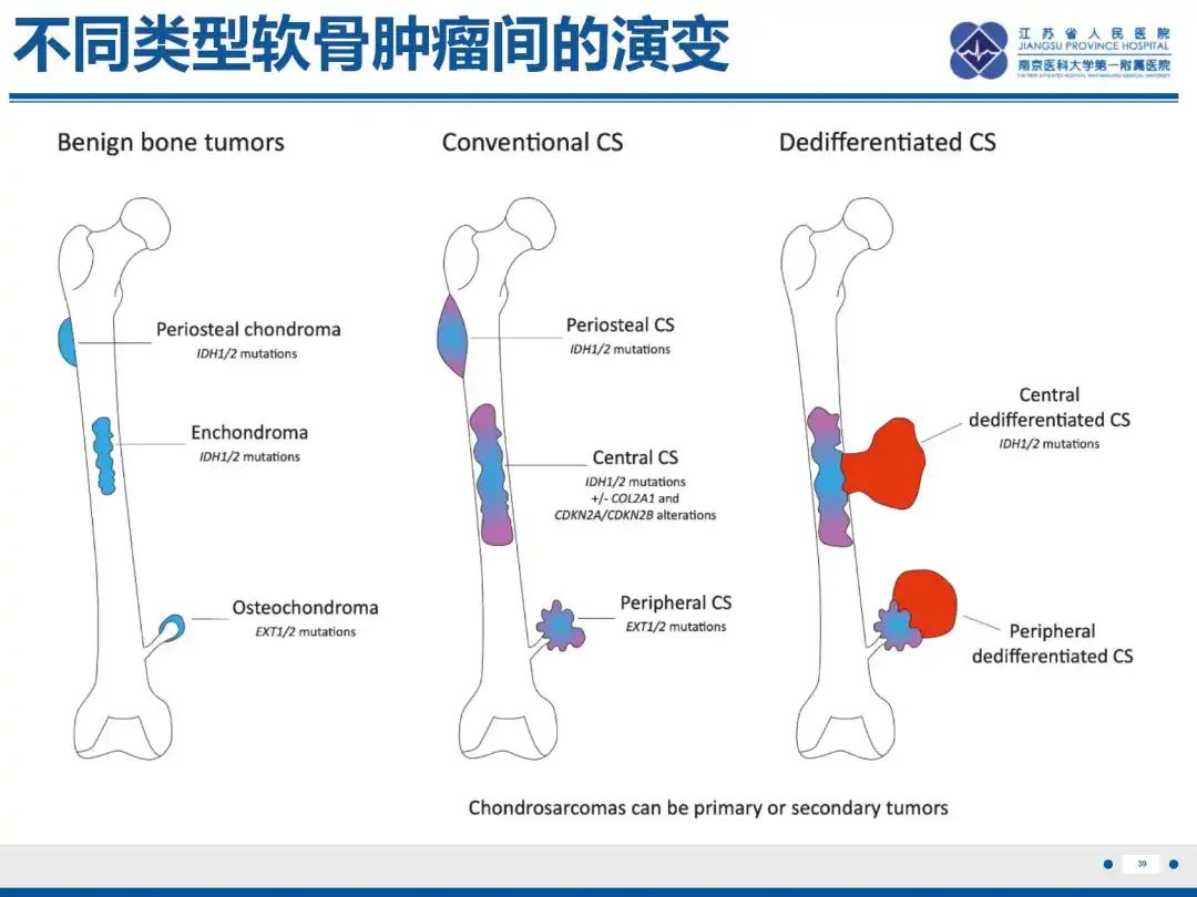 影像PPT - 【PPT】软骨肉瘤-40