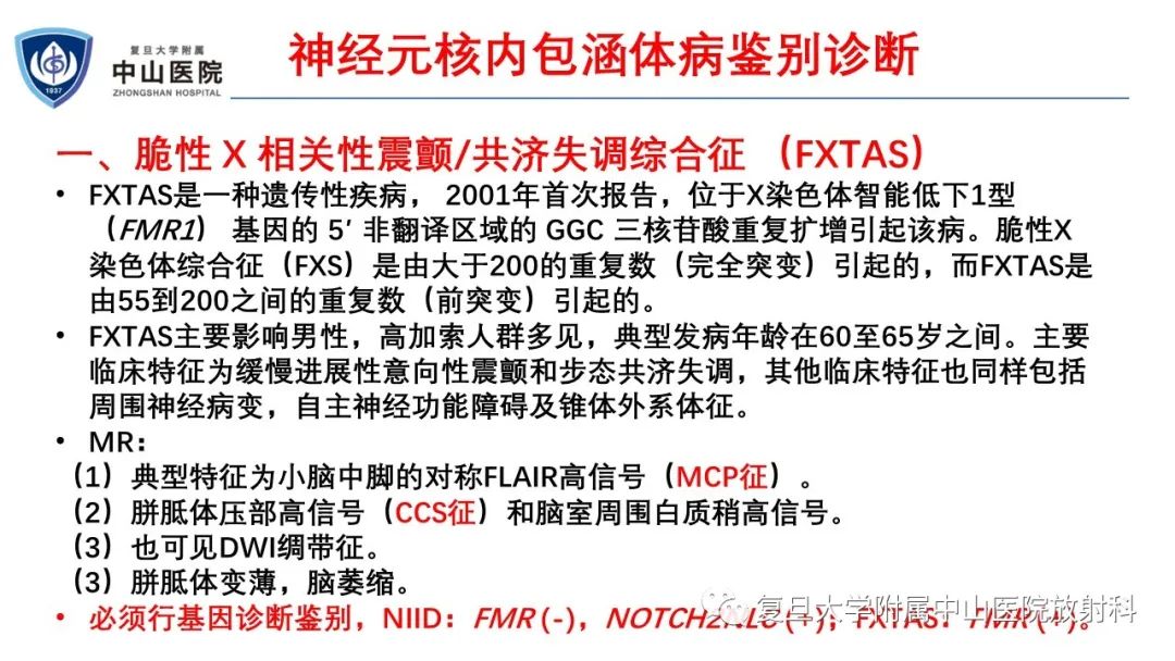 影像PPT - 【病例】神经元核内包涵体病1例CT及MR影像-19