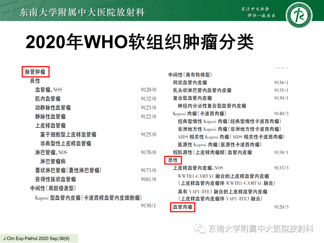 影像PPT - 【PPT】脑内血管肉瘤-14