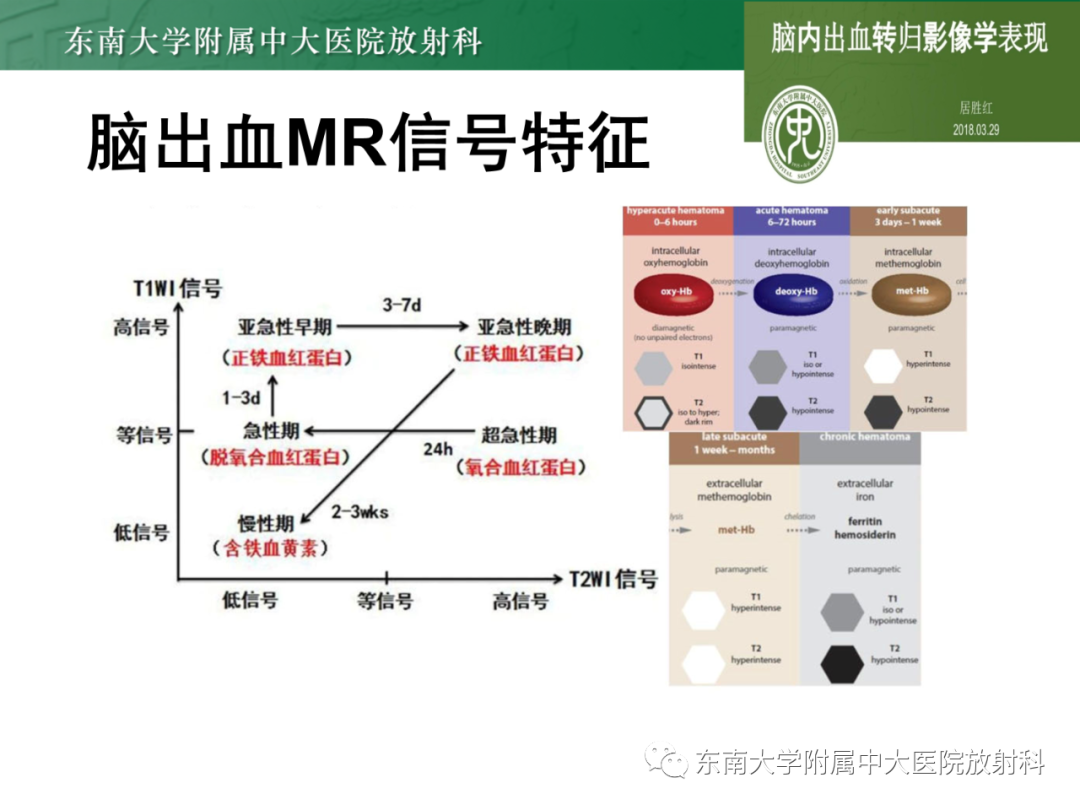 影像PPT - 【PPT】脑内血管肉瘤-22