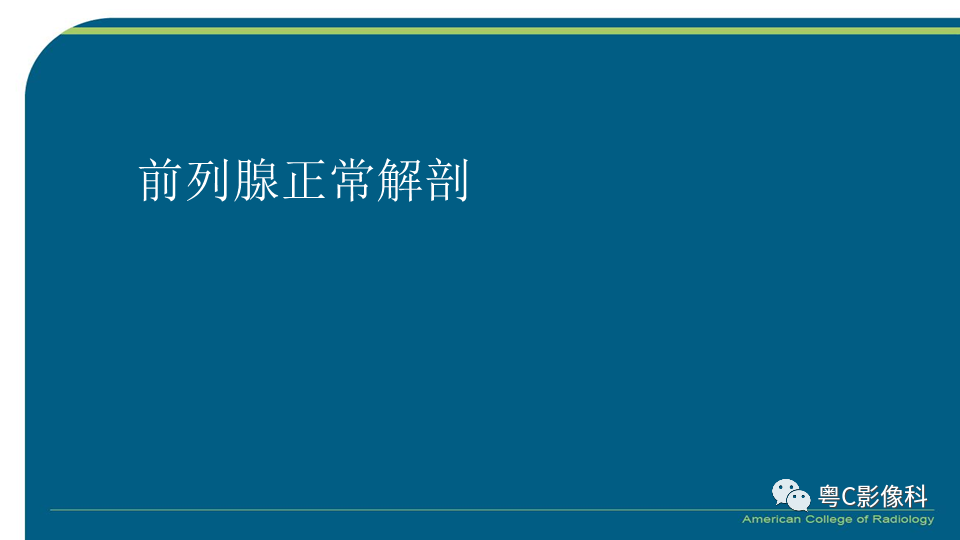 影像PPT - 【PPT】PI-RADS v2.1 修订解读并浅谈临床应用局限性-3 影像PPT - 【PPT】PI-RADS v2.1 修订解读并浅谈临床应用局限性-3