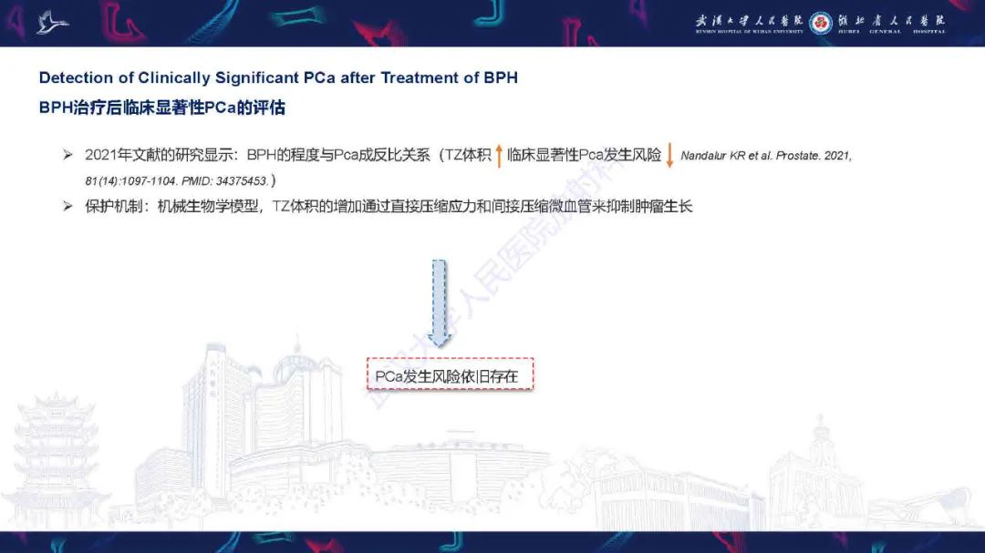 影像PPT - 【PPT】良性前列腺增生治疗前后MRI评估-44