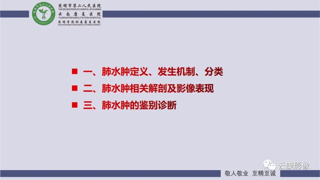 影像PPT - 【PPT】肺水肿的影像诊断-2