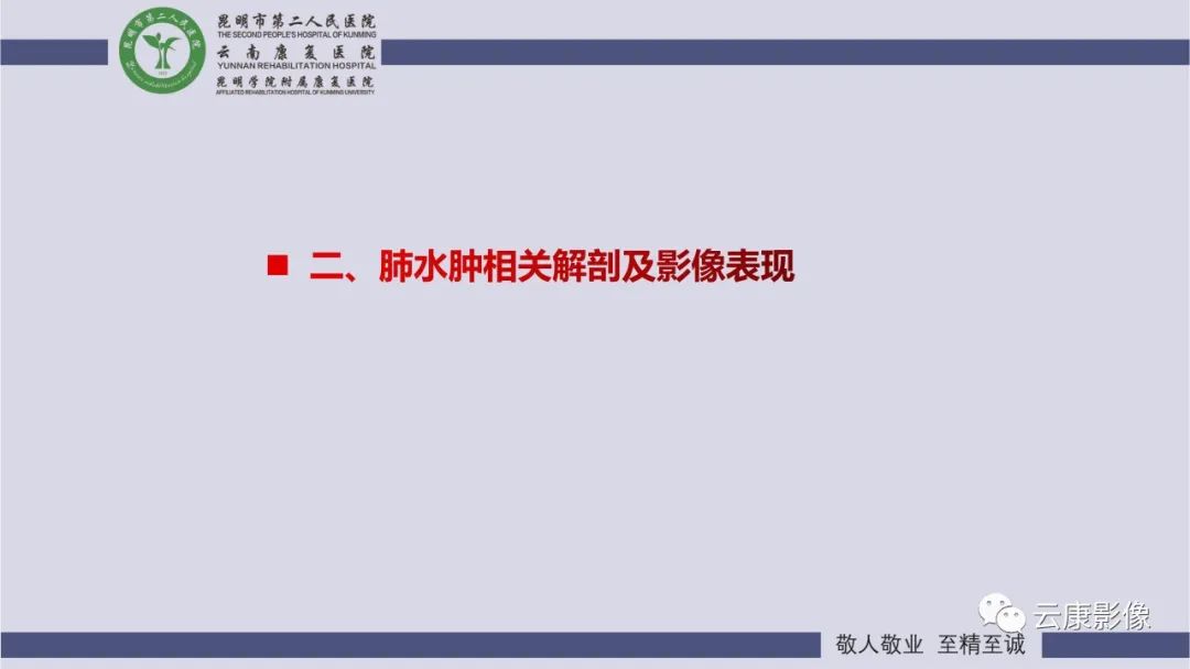 影像PPT - 【PPT】肺水肿的影像诊断-7
