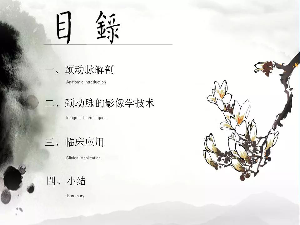 影像PPT - 【PPT】颈动脉CTA及MRA评价-2
