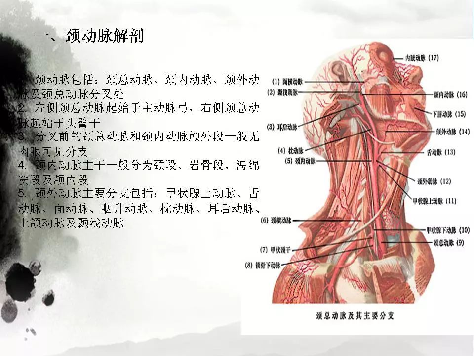 影像PPT - 【PPT】颈动脉CTA及MRA评价-3