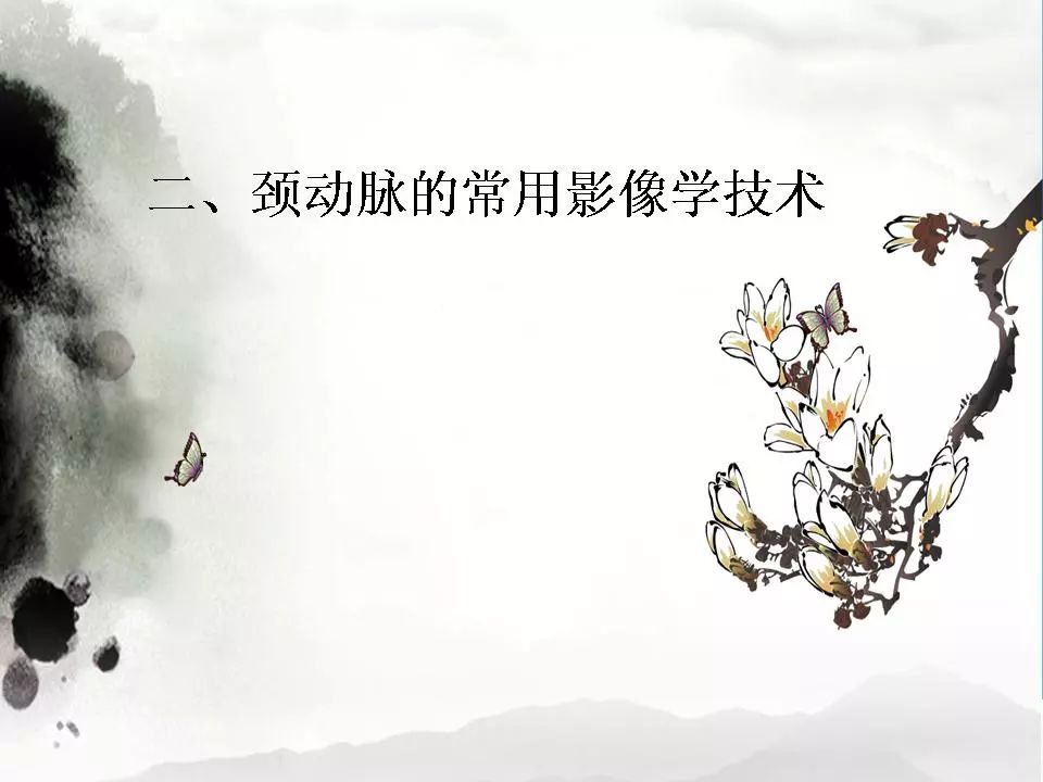 影像PPT - 【PPT】颈动脉CTA及MRA评价-4