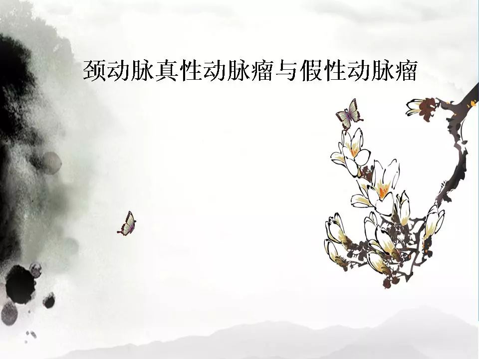 影像PPT - 【PPT】颈动脉CTA及MRA评价-25