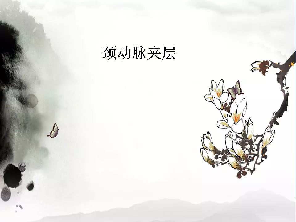 影像PPT - 【PPT】颈动脉CTA及MRA评价-29