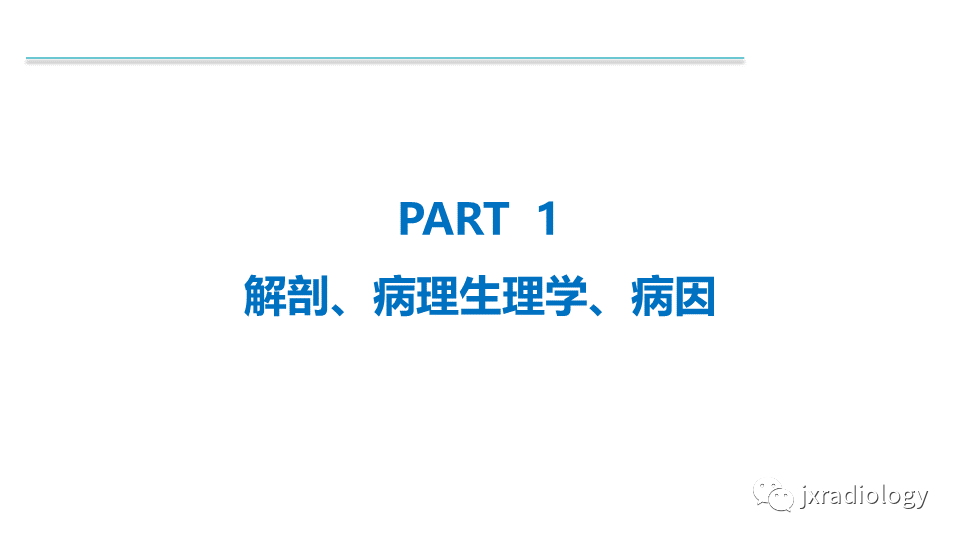 影像PPT - 【PPT】盆腔静脉淤血综合征：检查、分级及血管内治疗-4