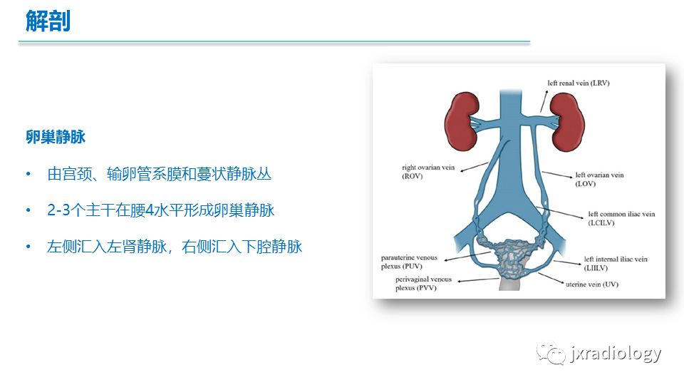 影像PPT - 【PPT】盆腔静脉淤血综合征：检查、分级及血管内治疗-5