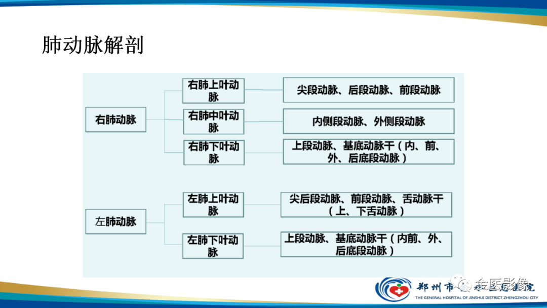 影像PPT - 【PPT】肺动脉栓塞及肺动脉CTA检查技术-7