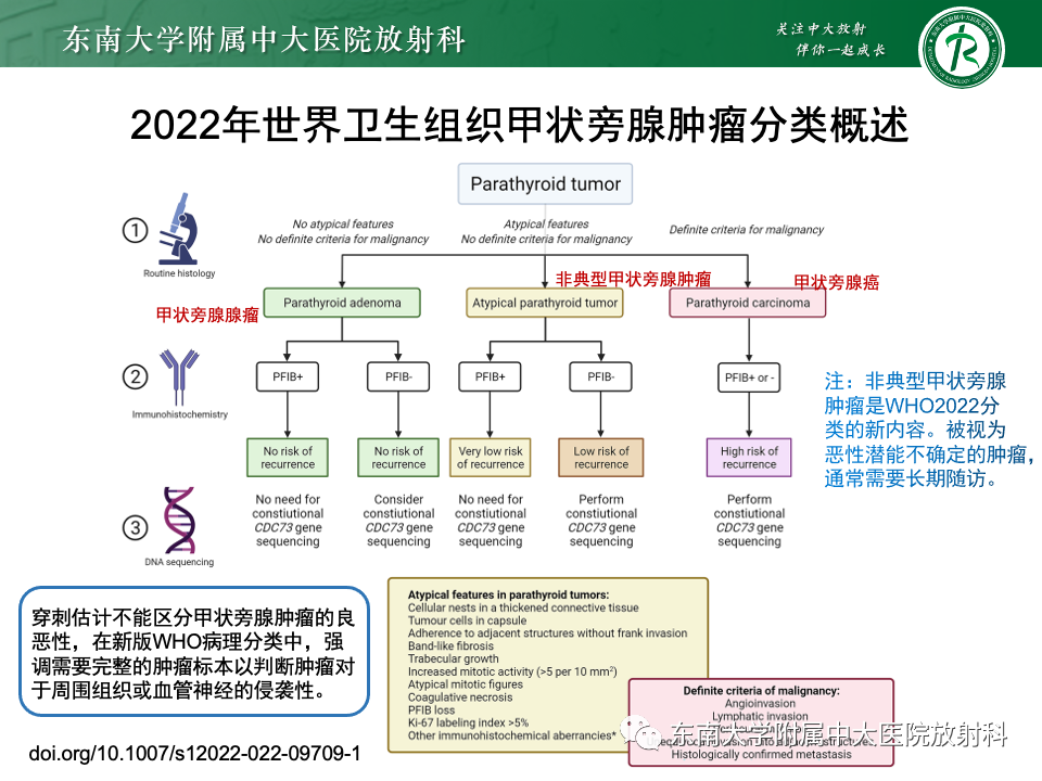 影像PPT - 【PPT】甲状旁腺病变-13