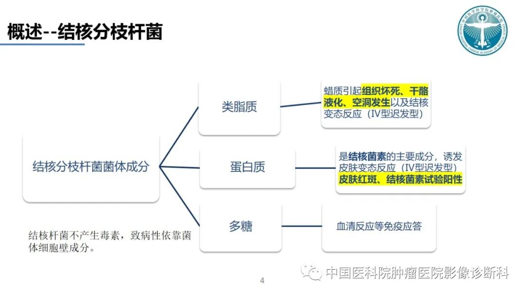 影像PPT - 【PPT】肺结核-4