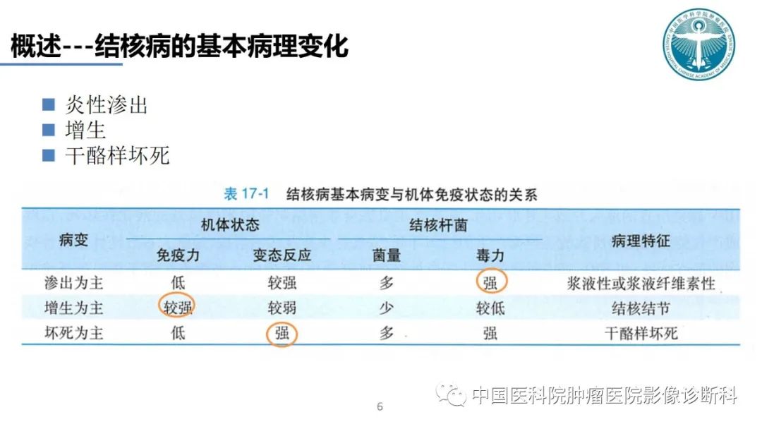 影像PPT - 【PPT】肺结核-6