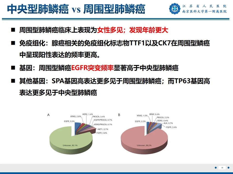 影像PPT - 【PPT】周围型肺鳞癌-24
