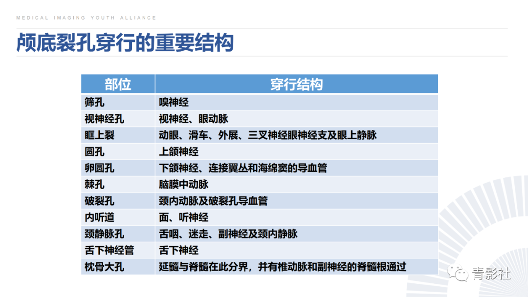 影像PPT - 【PPT】鼻咽癌周围结构侵犯的影像诊断思路-12