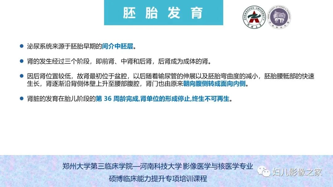 影像PPT - 【PPT】泌尿系先天性发育畸形的影像诊断-4