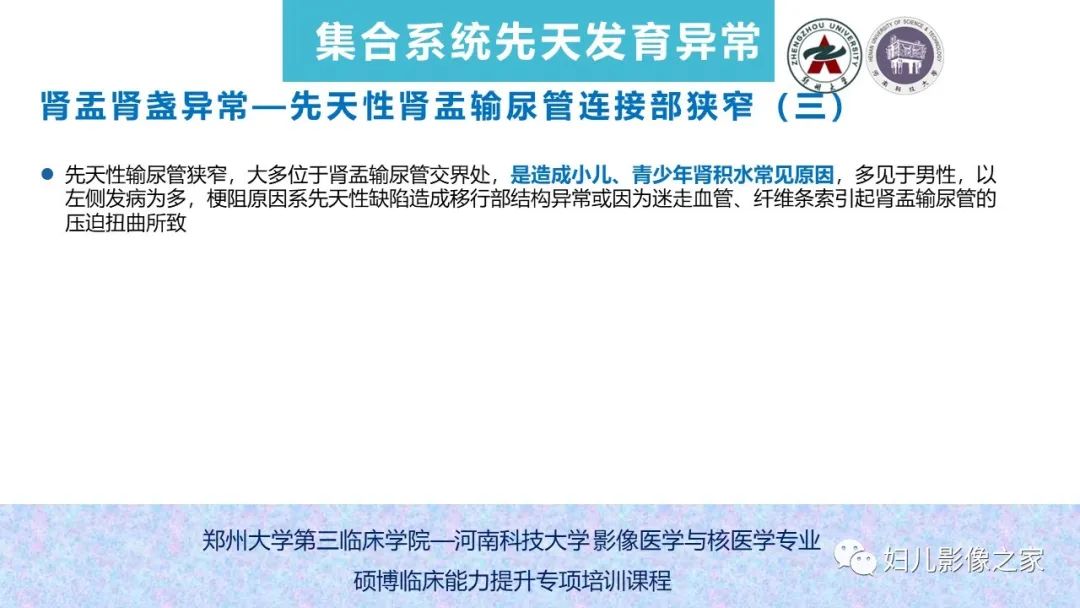 影像PPT - 【PPT】泌尿系先天性发育畸形的影像诊断-43