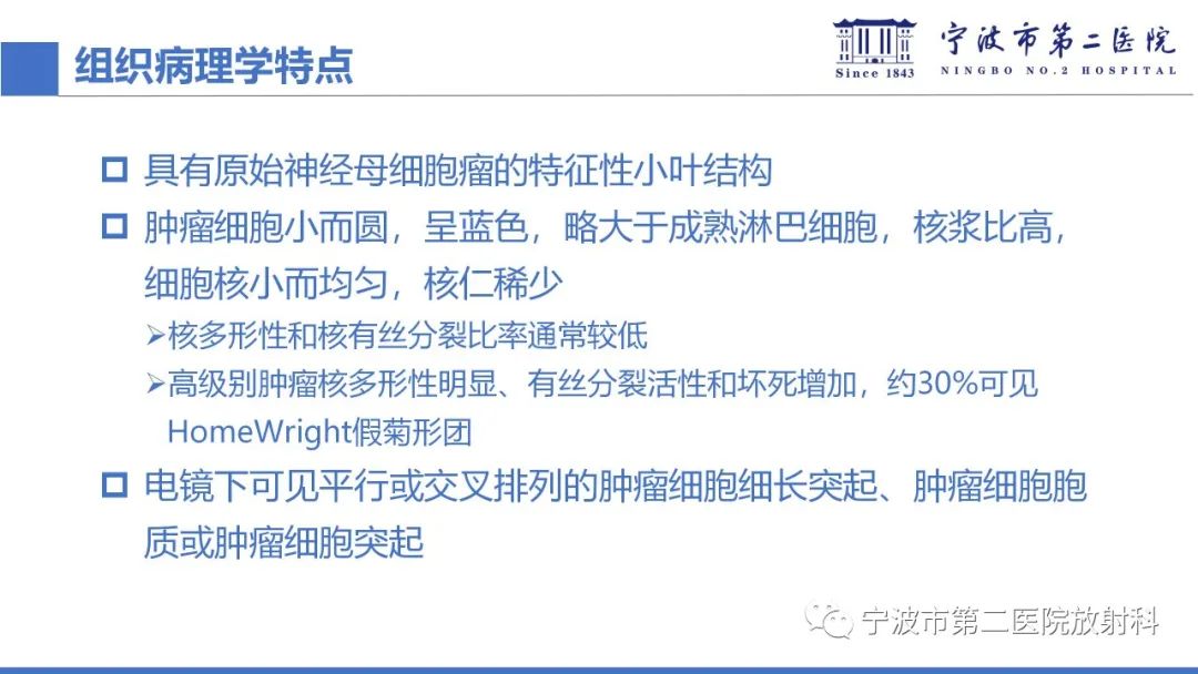 影像PPT - 【PPT】嗅神经母细胞瘤-30
