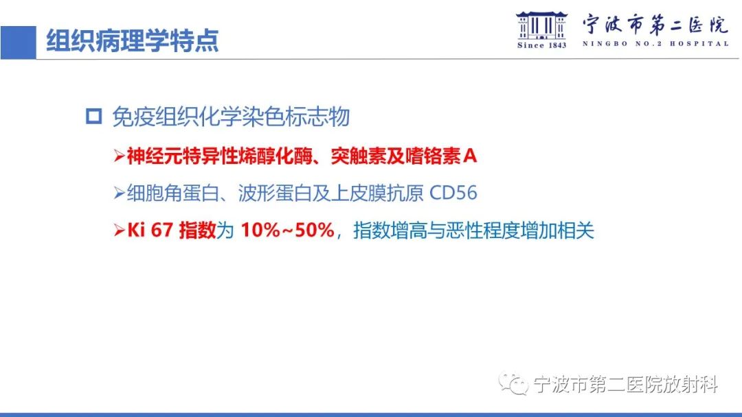影像PPT - 【PPT】嗅神经母细胞瘤-31