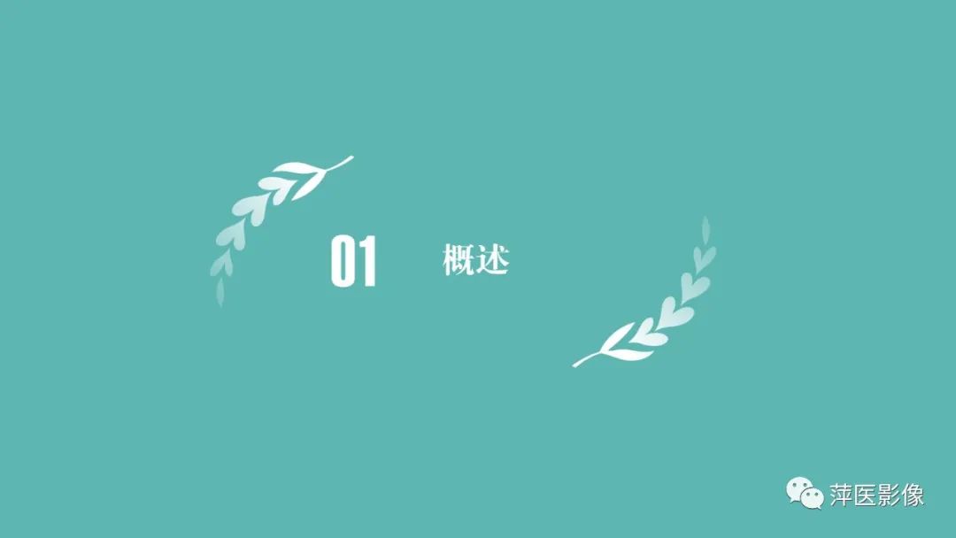 影像PPT - 【PPT】浅谈局限性星形细胞瘤-3