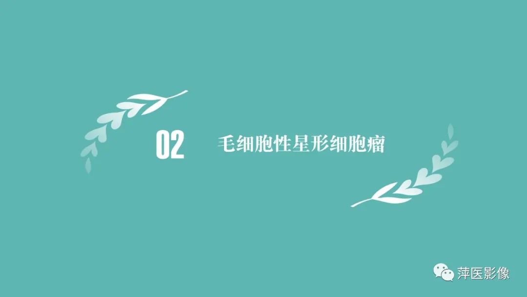 影像PPT - 【PPT】浅谈局限性星形细胞瘤-7