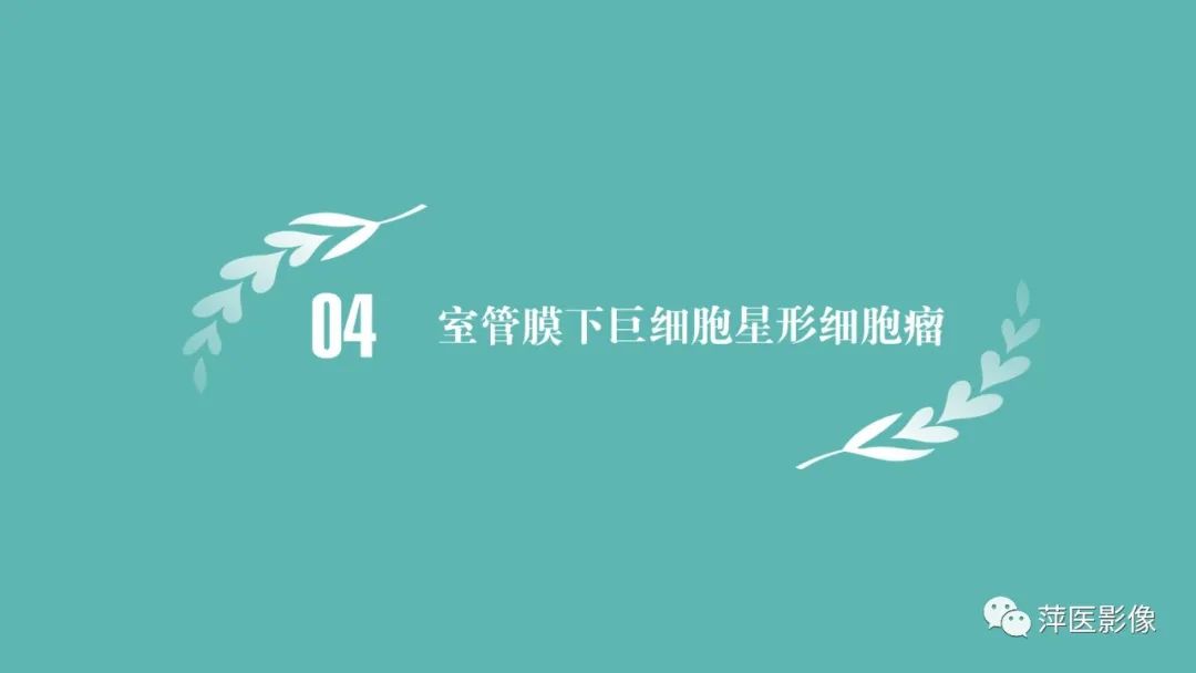 影像PPT - 【PPT】浅谈局限性星形细胞瘤-24