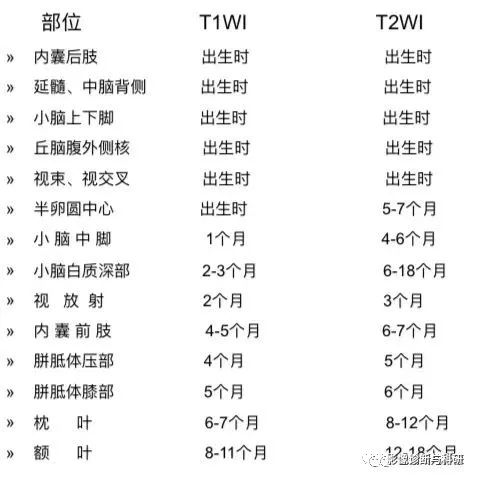 影像PPT - 新生儿正常髓鞘化进程-1 影像PPT - 新生儿正常髓鞘化进程-1
