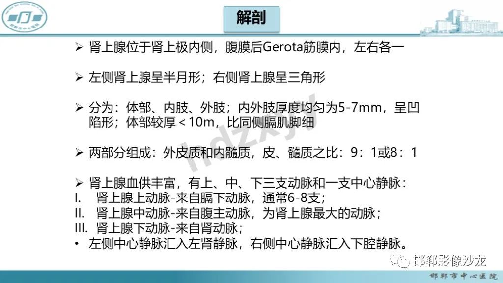 影像PPT - 【PPT】肾上腺结核-20