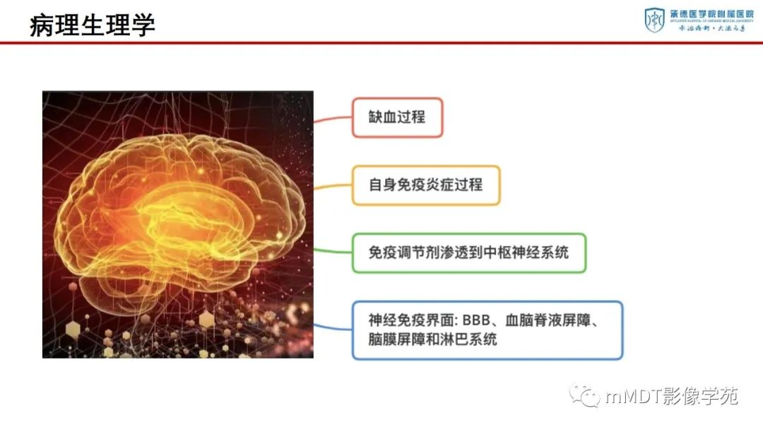 影像PPT - 【PPT】狼疮脑病的影像诊断-6